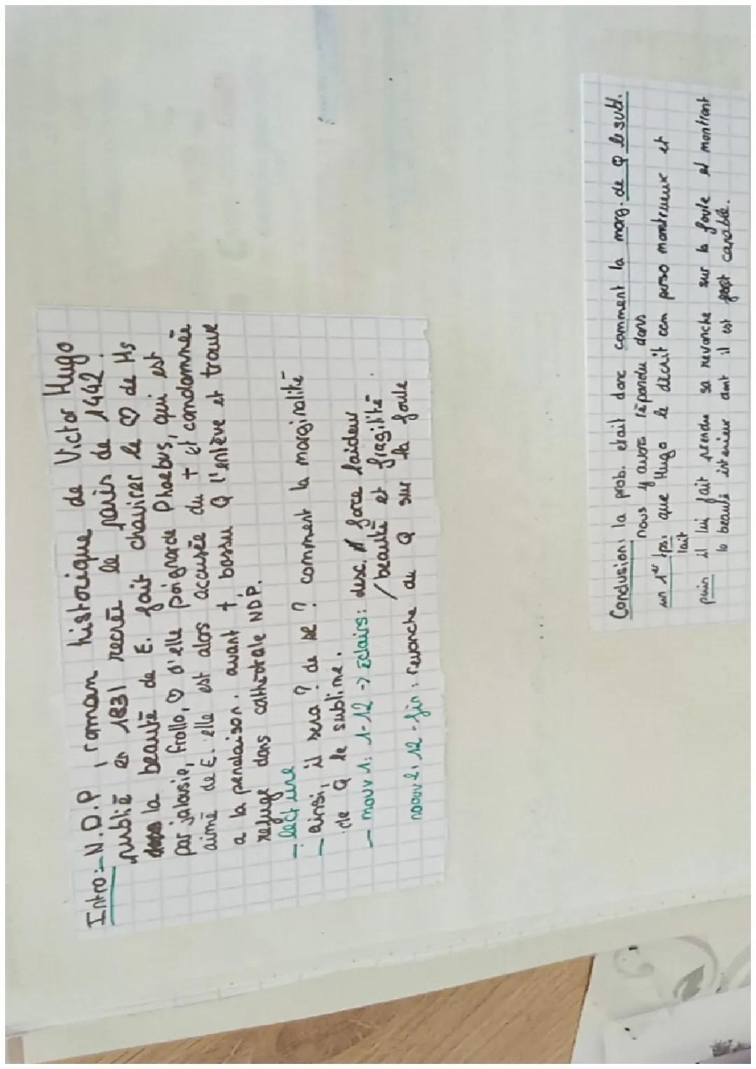 Texte n°9: Victor Hugo, Notre dame de paris, 1831,1832
en 1842, a paris, la beauté de esmeralda fait chavirer le coeur de tous les hommes. P
