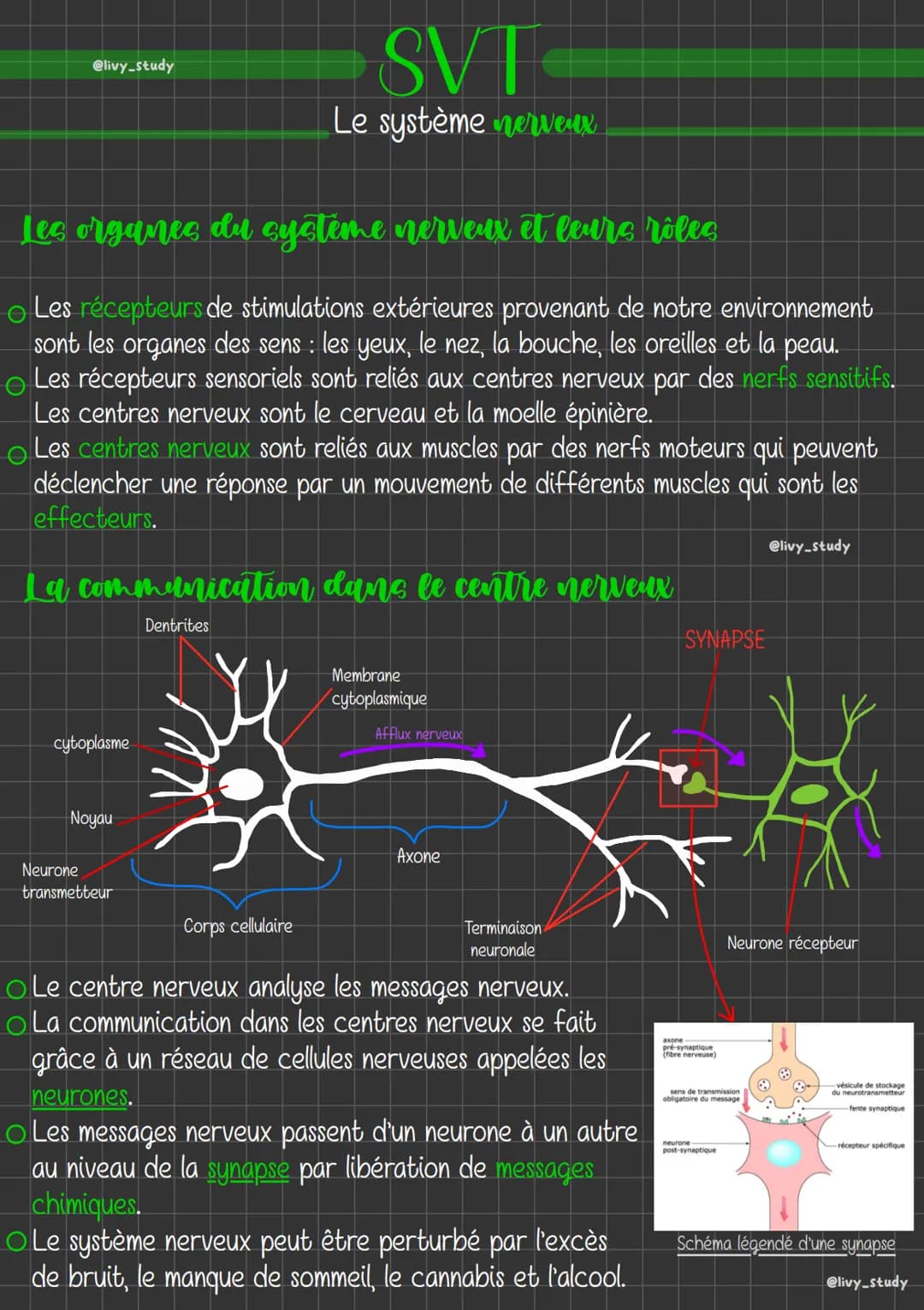@livy_study
Les organes du système nerveux et leurs rôles
Les récepteurs de stimulations extérieures provenant de notre environnement
sont l