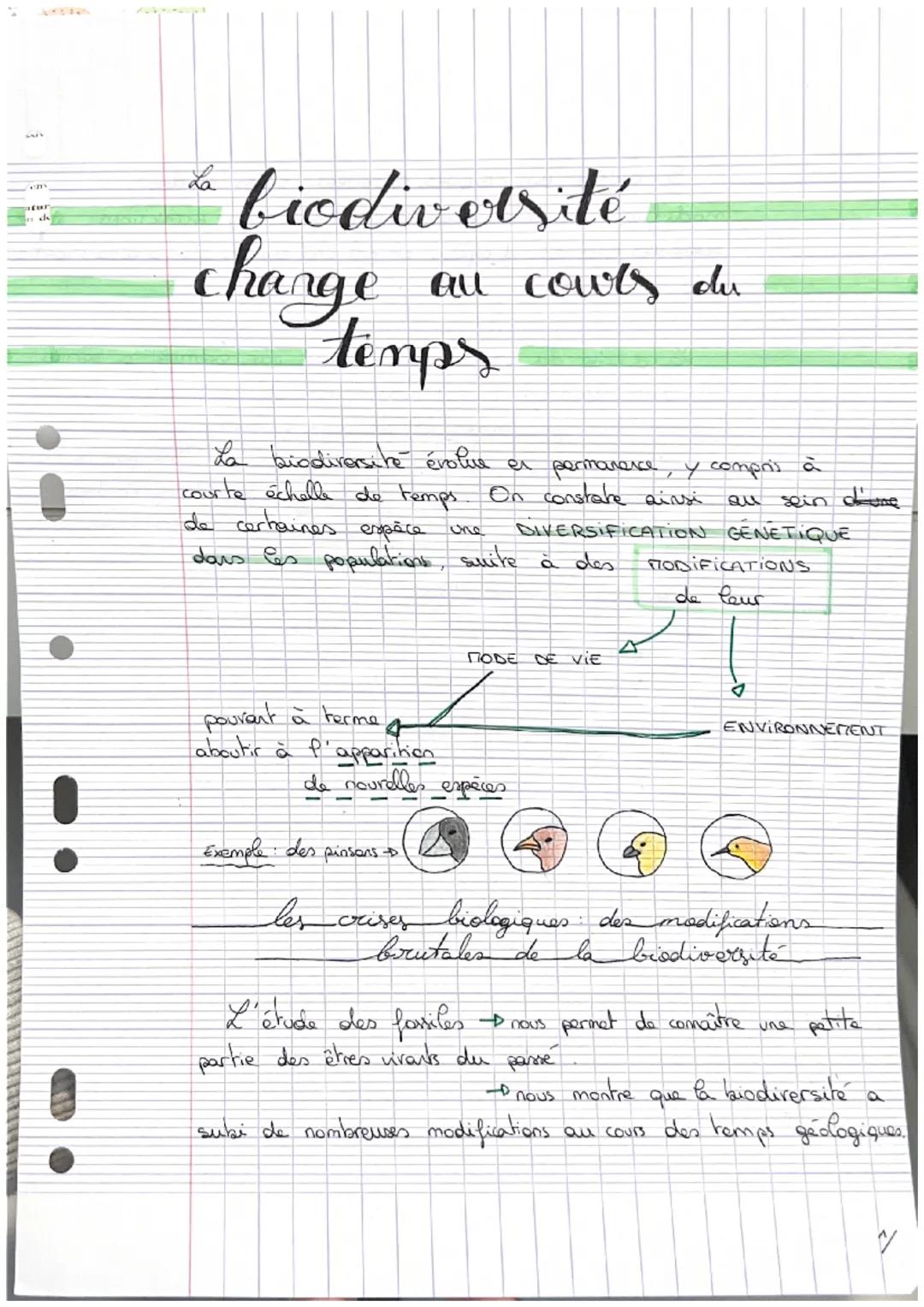 V
in de
La
* biodiversité
change au couts du
temps
La biodiversite évolue es permanence, y compris à
courte échelle de temps. On constate ai