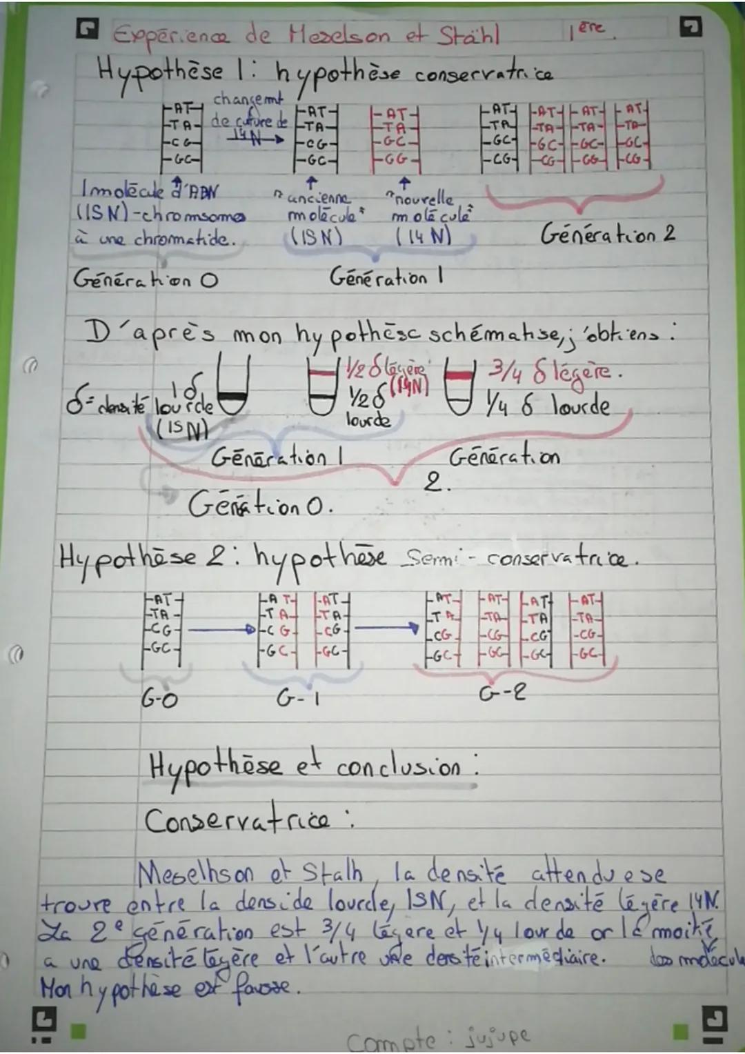 Expérience de Meselson et Stähl

Hypothèse 1: hypothèse conservatrice

FAT changemt
TA-de cuture de
CG
-GC-
FAT FATH
2. Culture de TA
Imolec