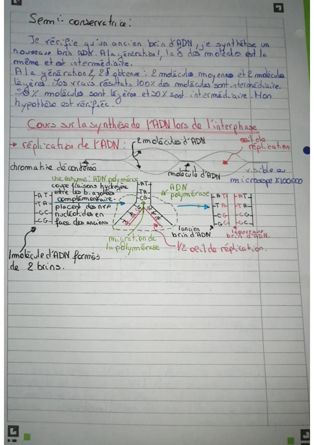 Expérience de Meselson et Stähl

Hypothèse 1: hypothèse conservatrice

FAT changemt
TA-de cuture de
CG
-GC-
FAT FATH
2. Culture de TA
Imolec