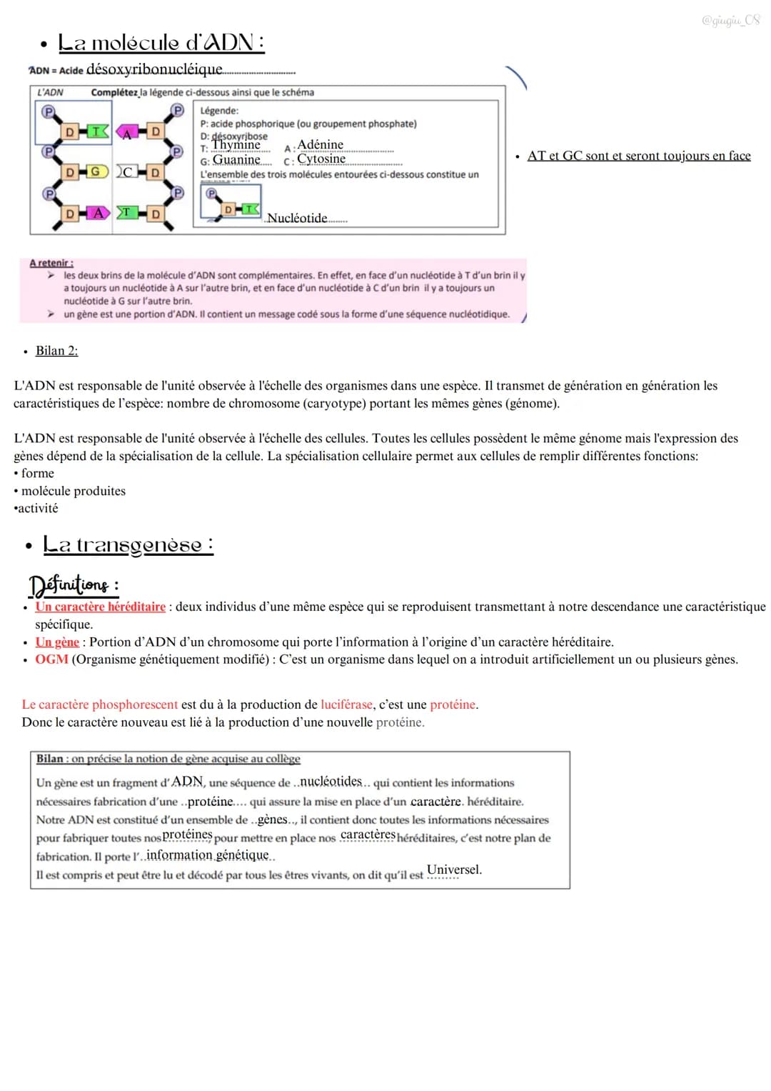 .
S.V.T
L'organisme pluricellulaire, un ensemble de cellules spécialisées
Rappel
. Les êtres vivants sont constitués de cellules.
⚫ La cellu