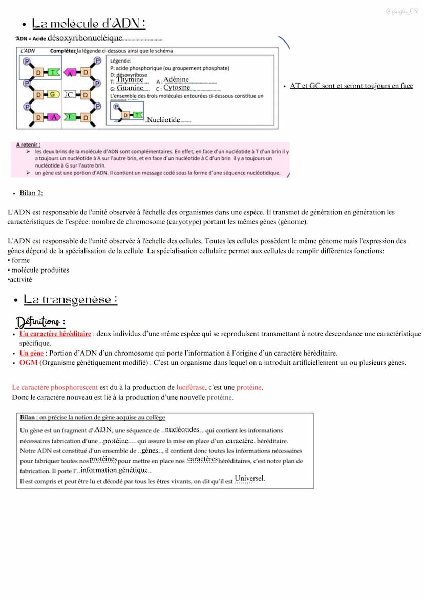 .
S.V.T
L'organisme pluricellulaire, un ensemble de cellules spécialisées
Rappel
. Les êtres vivants sont constitués de cellules.
⚫ La cellu