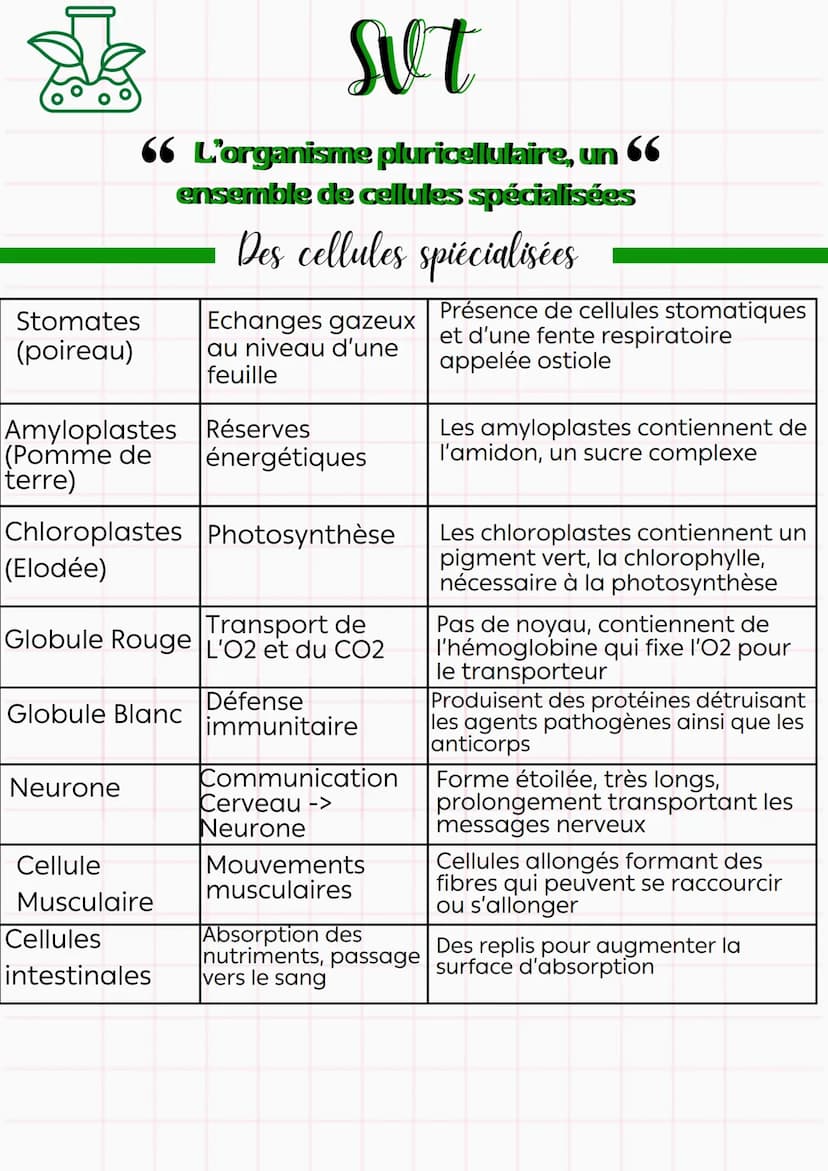 svt
66 L'organisme pluricellulaire, un 66
ensemble de cellules spécialisées
Lexique
Cellule : Unité structurale et fonctionnelle du vivant, 