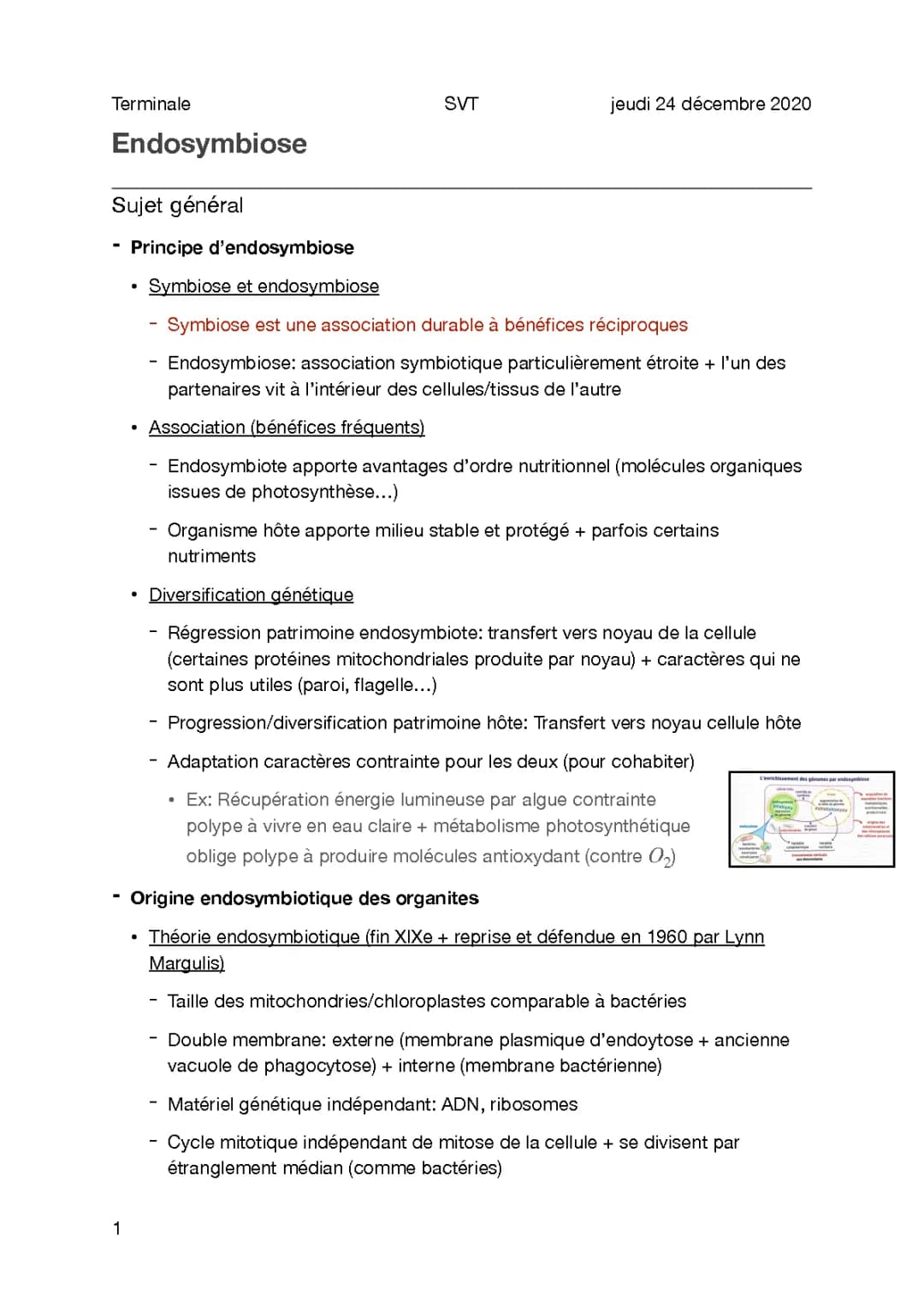 Comprendre l'endosymbiose: théorie, exemples et origines