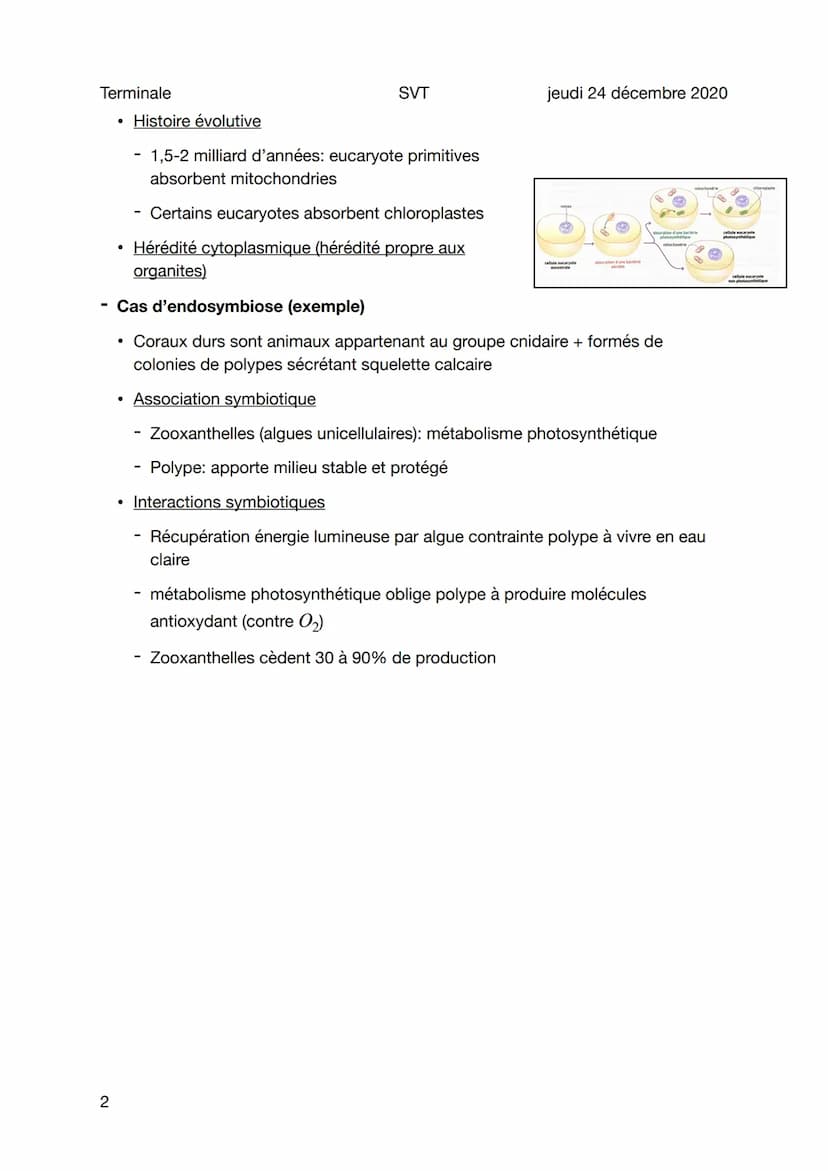 
<p>L'endosymbiose est une association symbiotique particulièrement étroite où l'un des partenaires vit à l'intérieur des cellules ou des ti