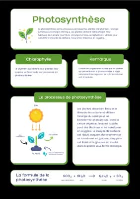 Know photosynthèse  thumbnail