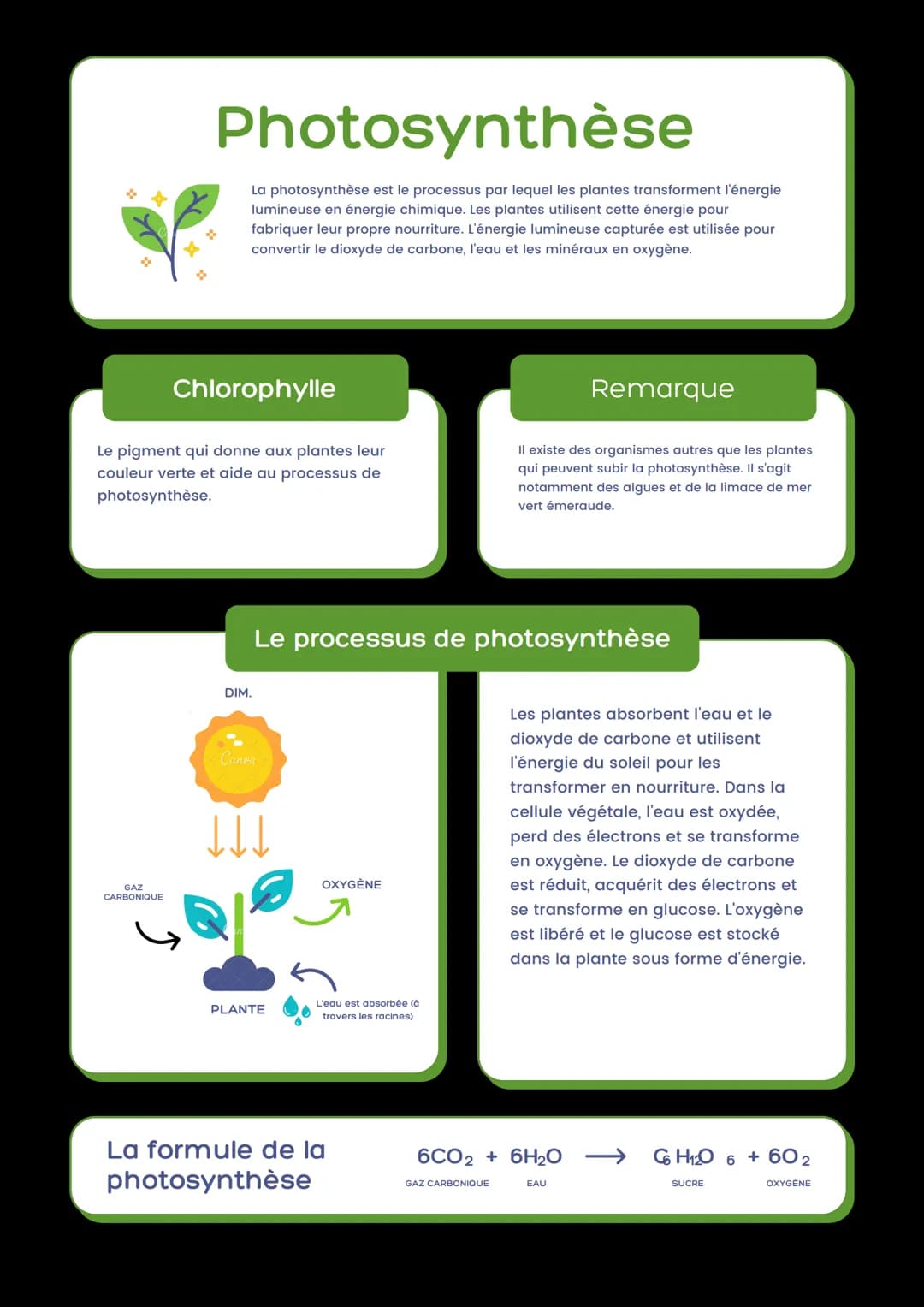 GAZ
CARBONIQUE
Photosynthèse
La photosynthèse est le processus par lequel les plantes transforment l'énergie
lumineuse en énergie chimique. 
