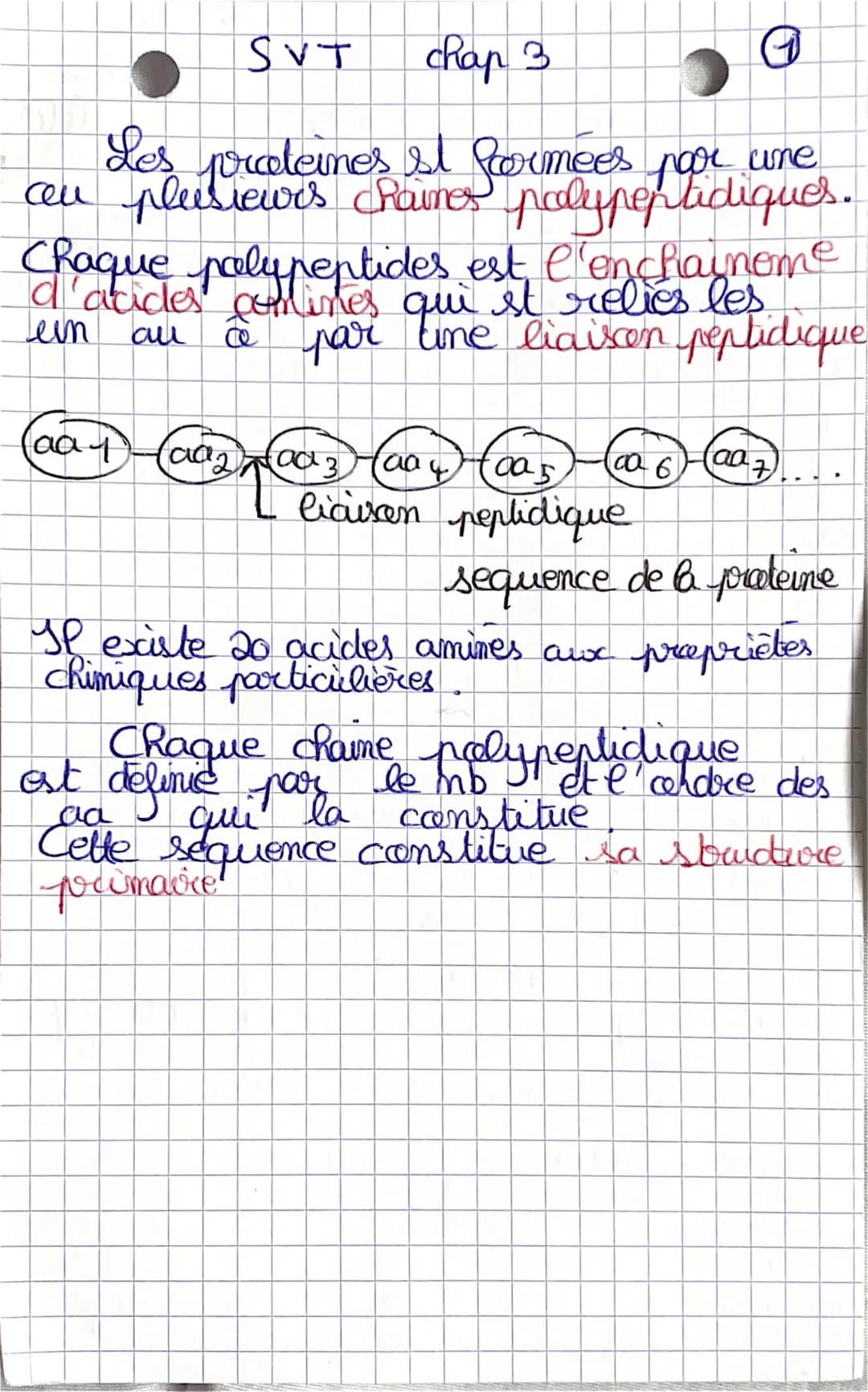 SVT
chap 3
Les proteines st farmees par une
au plusieurs chames polypeptidiques.
Chaque polypeptides est l'enchaineme
d'acides contines qui 