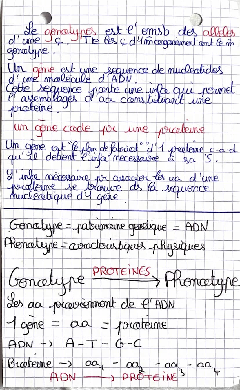 SVT
chap 3
Les proteines st farmees par une
au plusieurs chames polypeptidiques.
Chaque polypeptides est l'enchaineme
d'acides contines qui 