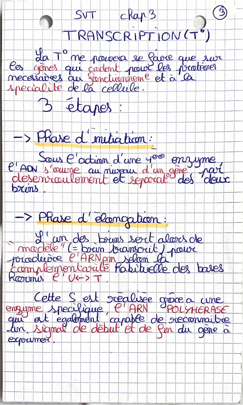 SVT
chap 3
Les proteines st farmees par une
au plusieurs chames polypeptidiques.
Chaque polypeptides est l'enchaineme
d'acides contines qui 