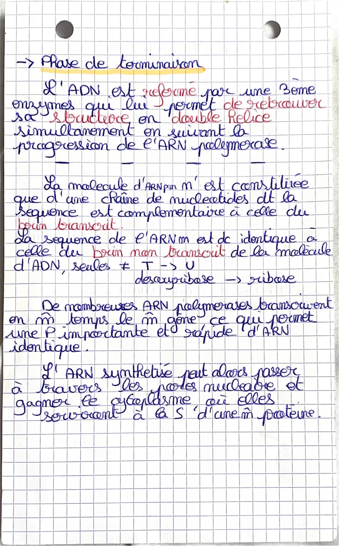 SVT
chap 3
Les proteines st farmees par une
au plusieurs chames polypeptidiques.
Chaque polypeptides est l'enchaineme
d'acides contines qui 