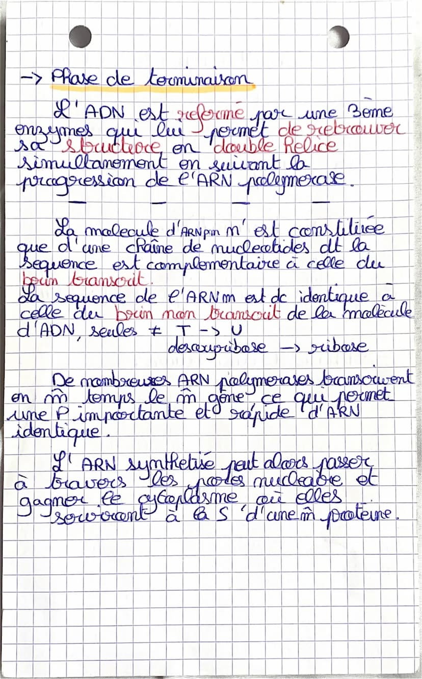 SVT
chap 3
Les proteines st farmees par une
au plusieurs chames polypeptidiques.
Chaque polypeptides est l'enchaineme
d'acides contines qui 