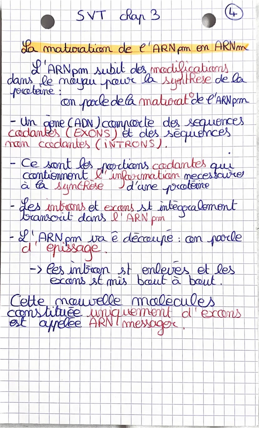 SVT
chap 3
Les proteines st farmees par une
au plusieurs chames polypeptidiques.
Chaque polypeptides est l'enchaineme
d'acides contines qui 