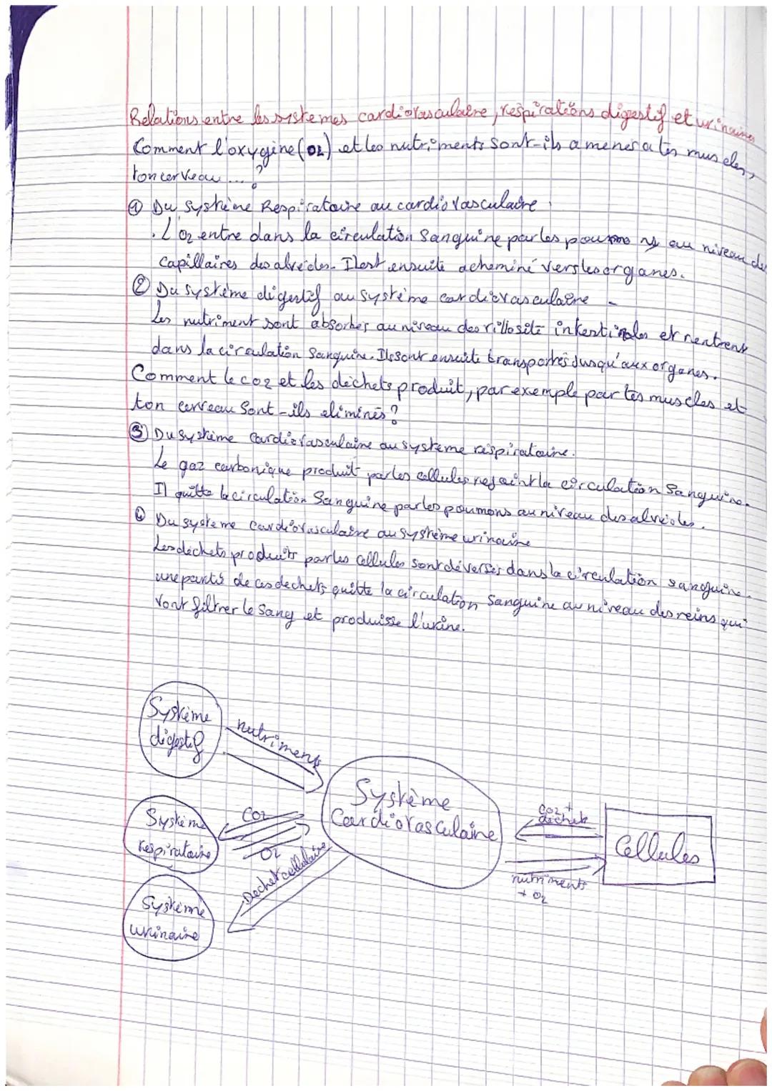 artère
pulmonaire
droite
veines
pulmonaires.
droites
valvule
pulmonaire
oreillette
droite.
valvule
tricuspide
La arculation du sany
veine ca