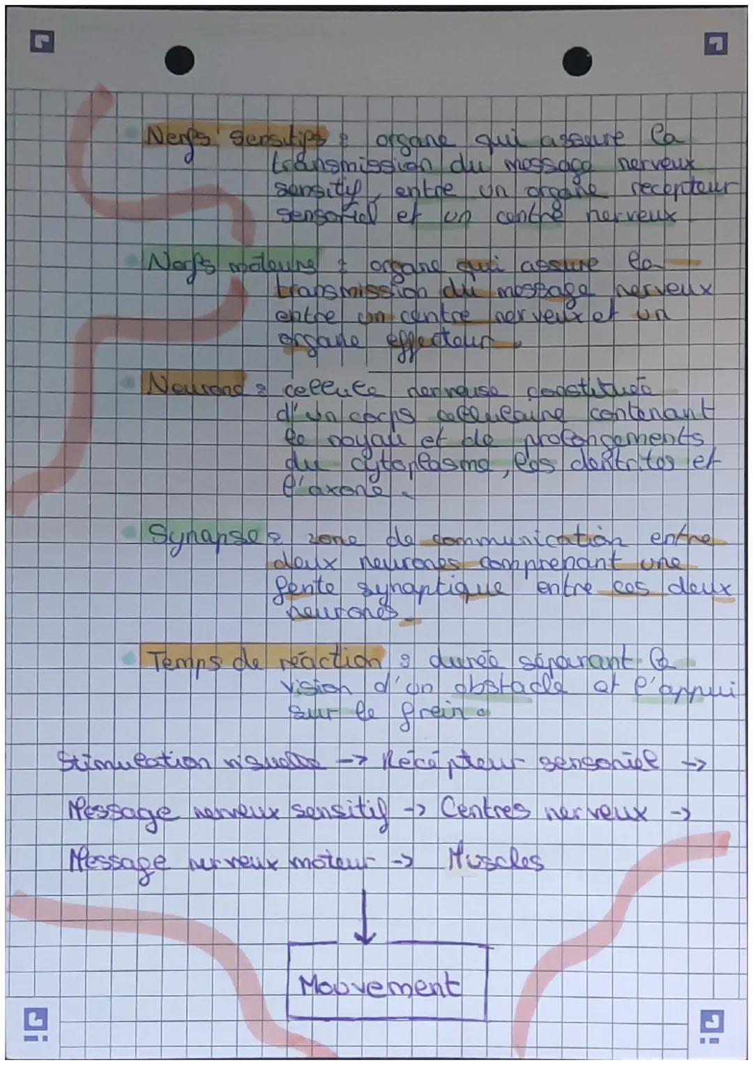 VT
fiche
de système nerveux
• Le système
système nerveux &
O
Système nerveux
herfs
sensitifs et
motors
Centres nerveux
Cerveau, moefle épini