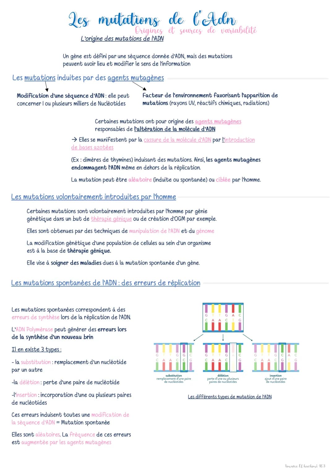 Réparation de l'Adn par des mécanismes de corrections
Au sein des cellules, des mécanismes spécialisés assurent la rectification des erreurs