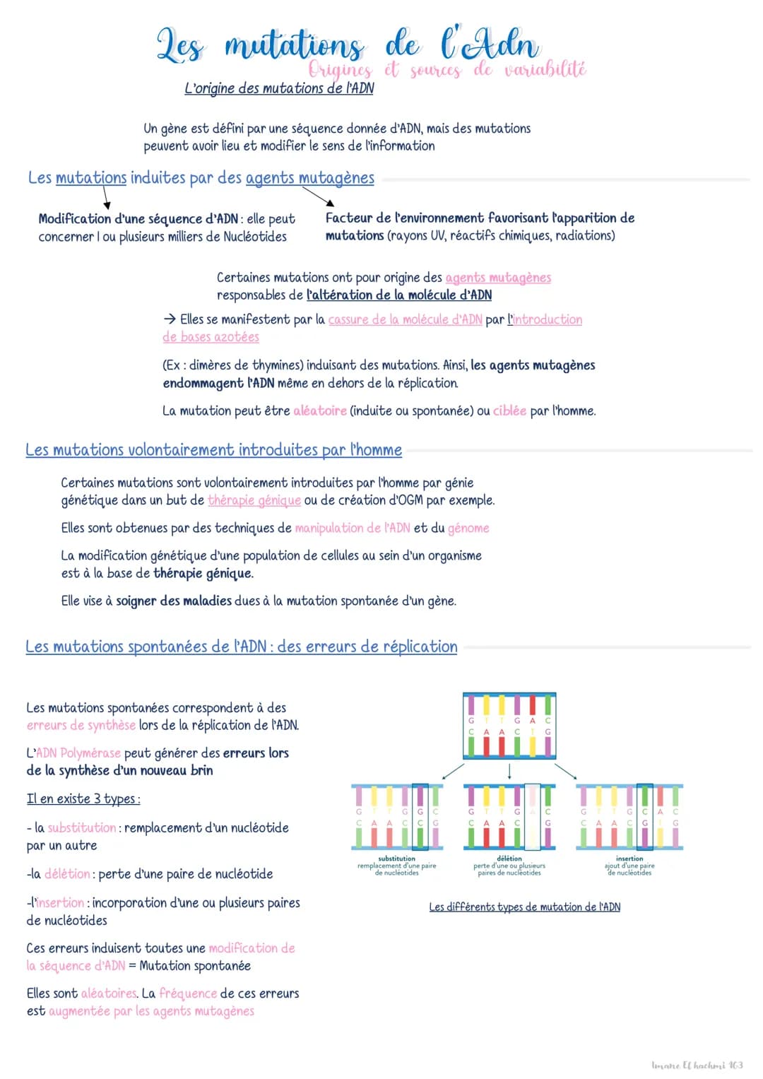 Réparation de l'Adn par des mécanismes de corrections
Au sein des cellules, des mécanismes spécialisés assurent la rectification des erreurs