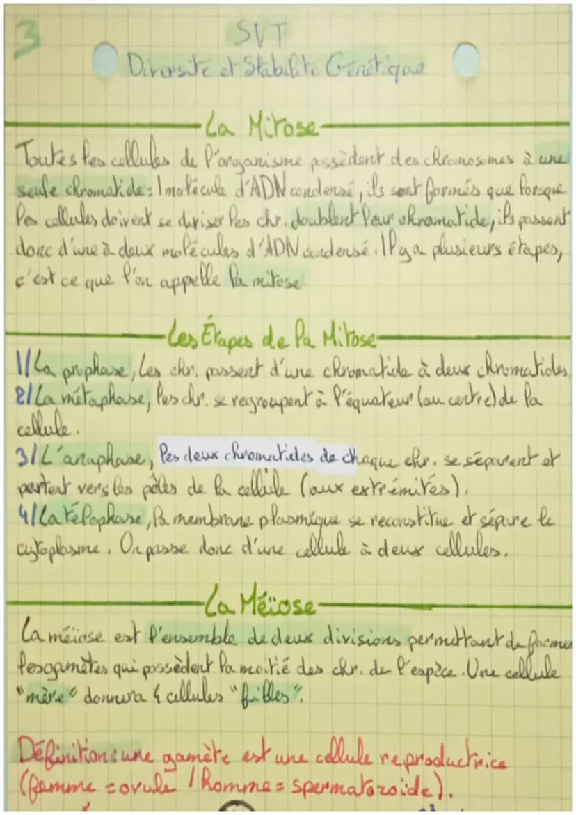 Diversité et Stabilité
génétique
·Les Caractères
Chaque individu d'une espace présente des caractères que
Pui sont propres. Ils ont deux ori