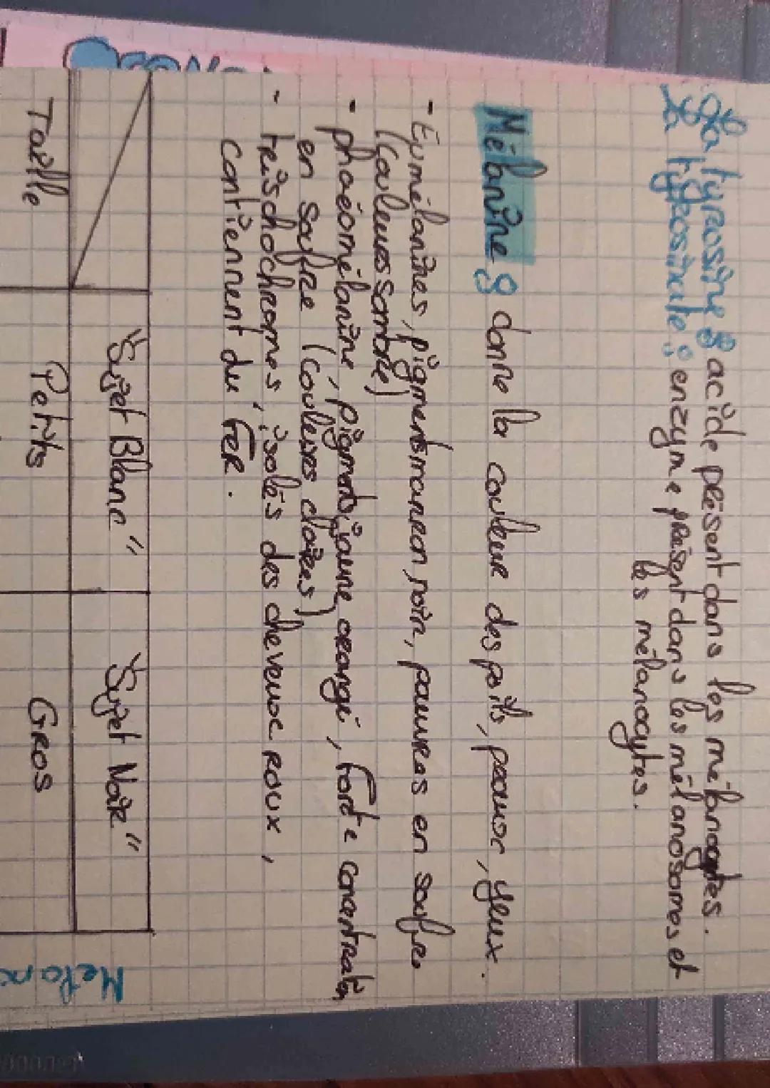 melanogenese
to melanogenase sept
un processus biologique
destine a colorer la pedu, les poils et les yeux
couche
Cornee
↑
Couche desquamant