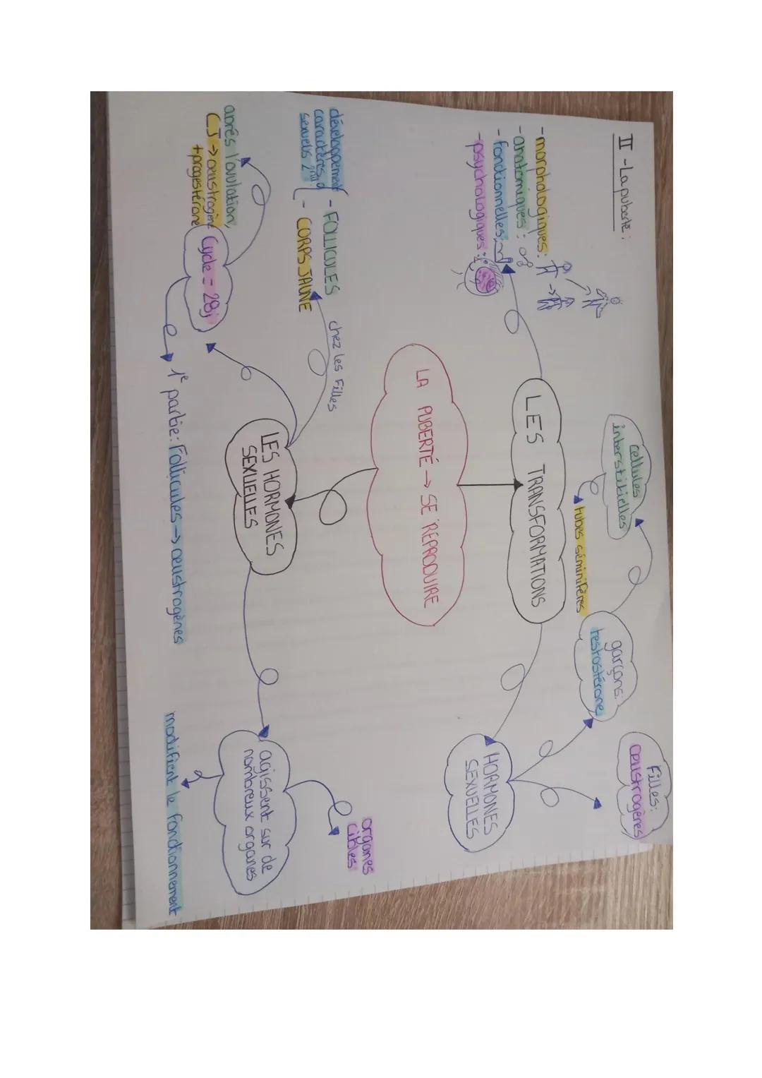 II -La puberte
-morphologiques:
-anatomiques : of
- fonctionnelles
-psychologiques :
développement -FOLLICULES
caractères o
Sexuels 2
CORPS 