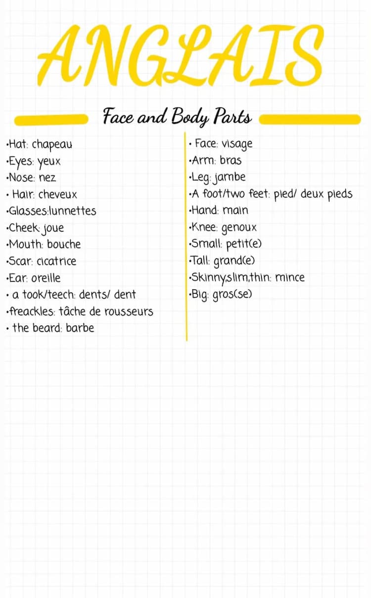 Know Face and Body parts thumbnail