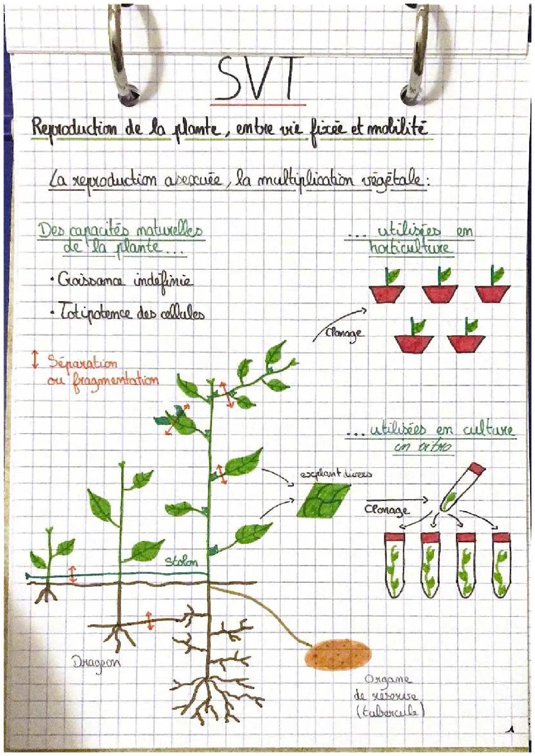 Chapitre 3 SVT : Types de Reproduction chez les Plantes et Coévolution