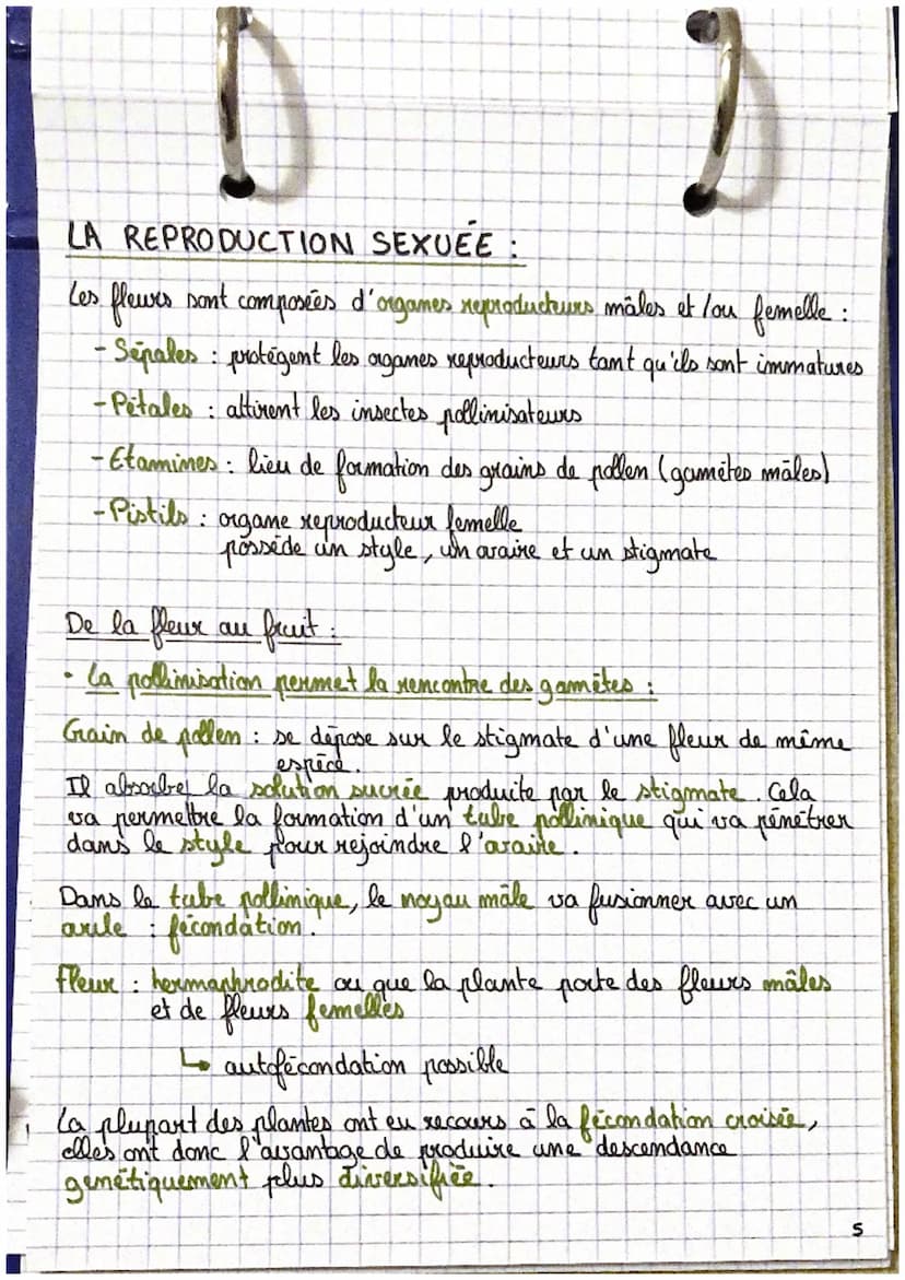 D
SVT
Reproduction de la plante, entre vie fixée et mobilité
a reproduction asexuée, la multiplication végétale:
Des capacités naturelles
de