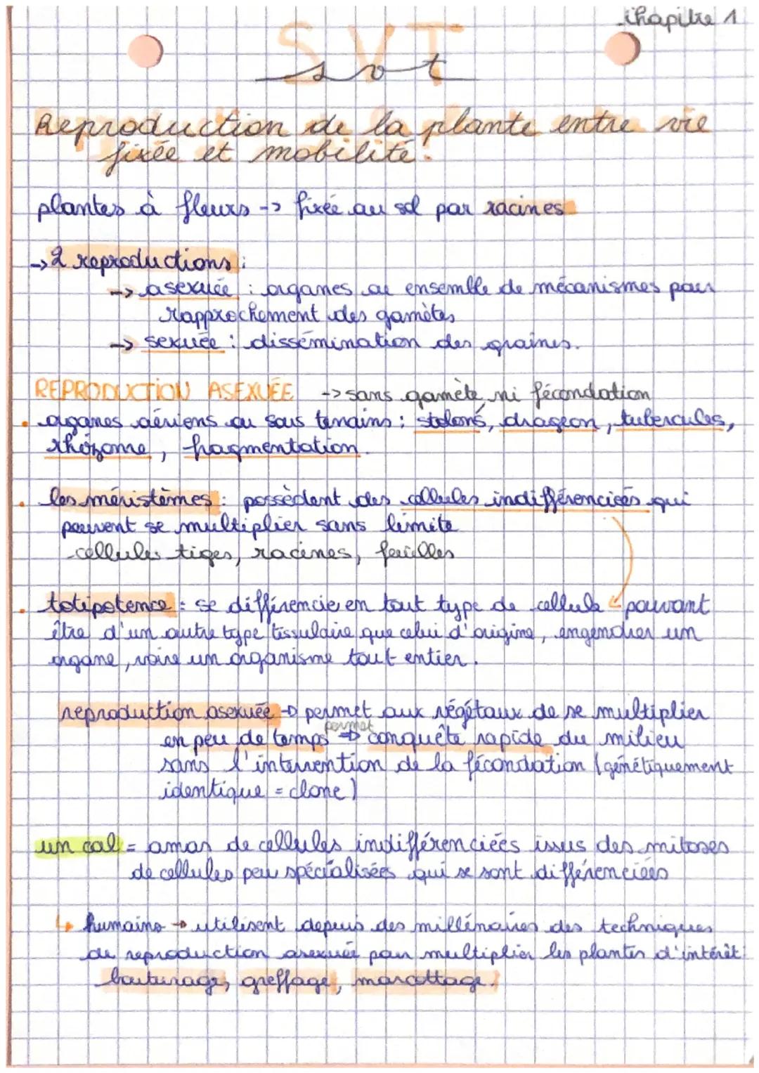 # SVT

ihapitre 1

Reproduction de la plante entre vie
fixée et mobilité!

plantes à fleurs -> fixée au sol par racines

->2 reproductions:
