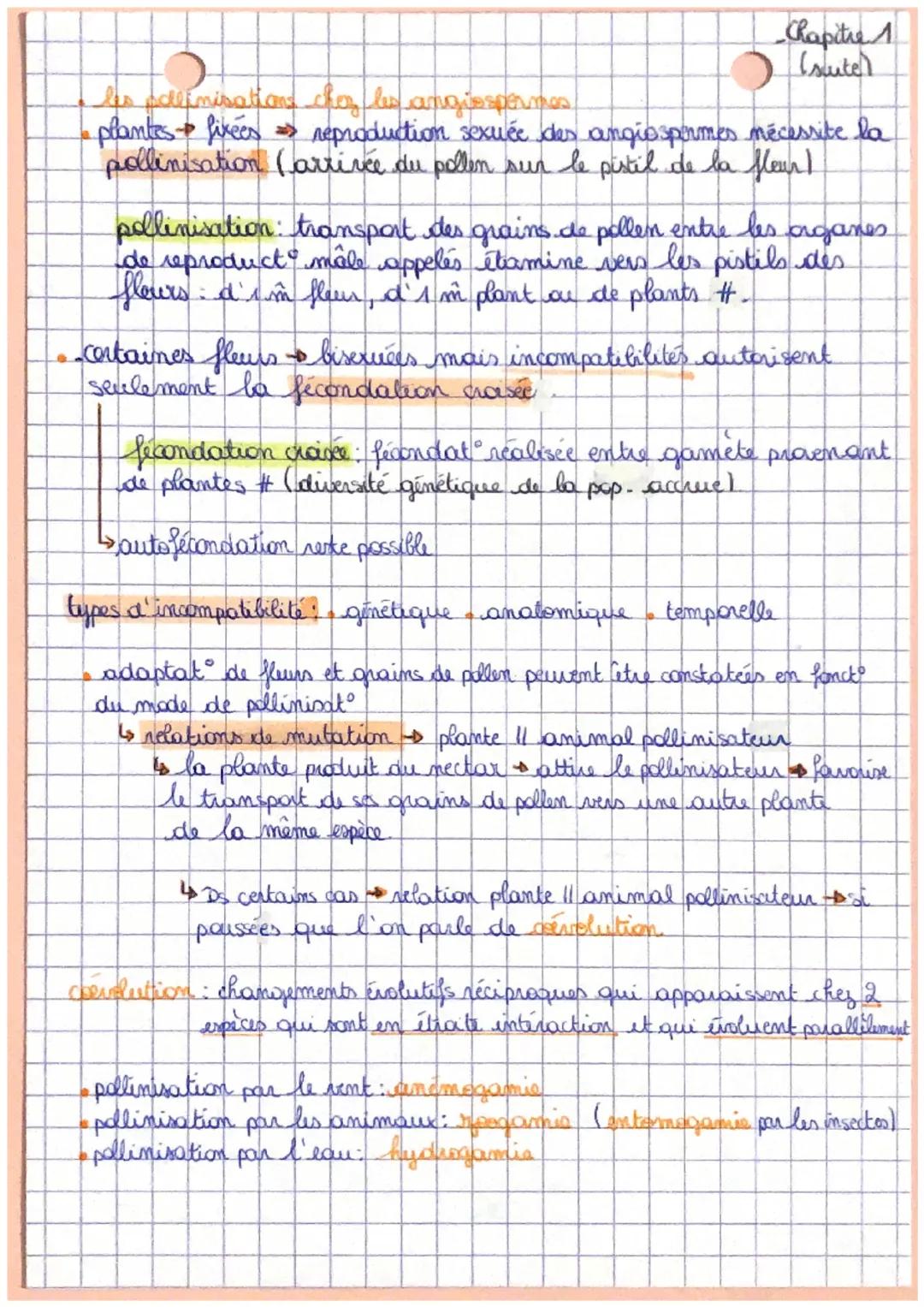 # SVT

ihapitre 1

Reproduction de la plante entre vie
fixée et mobilité!

plantes à fleurs -> fixée au sol par racines

->2 reproductions:
