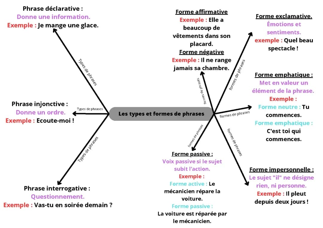 Les types et les formes de phrases