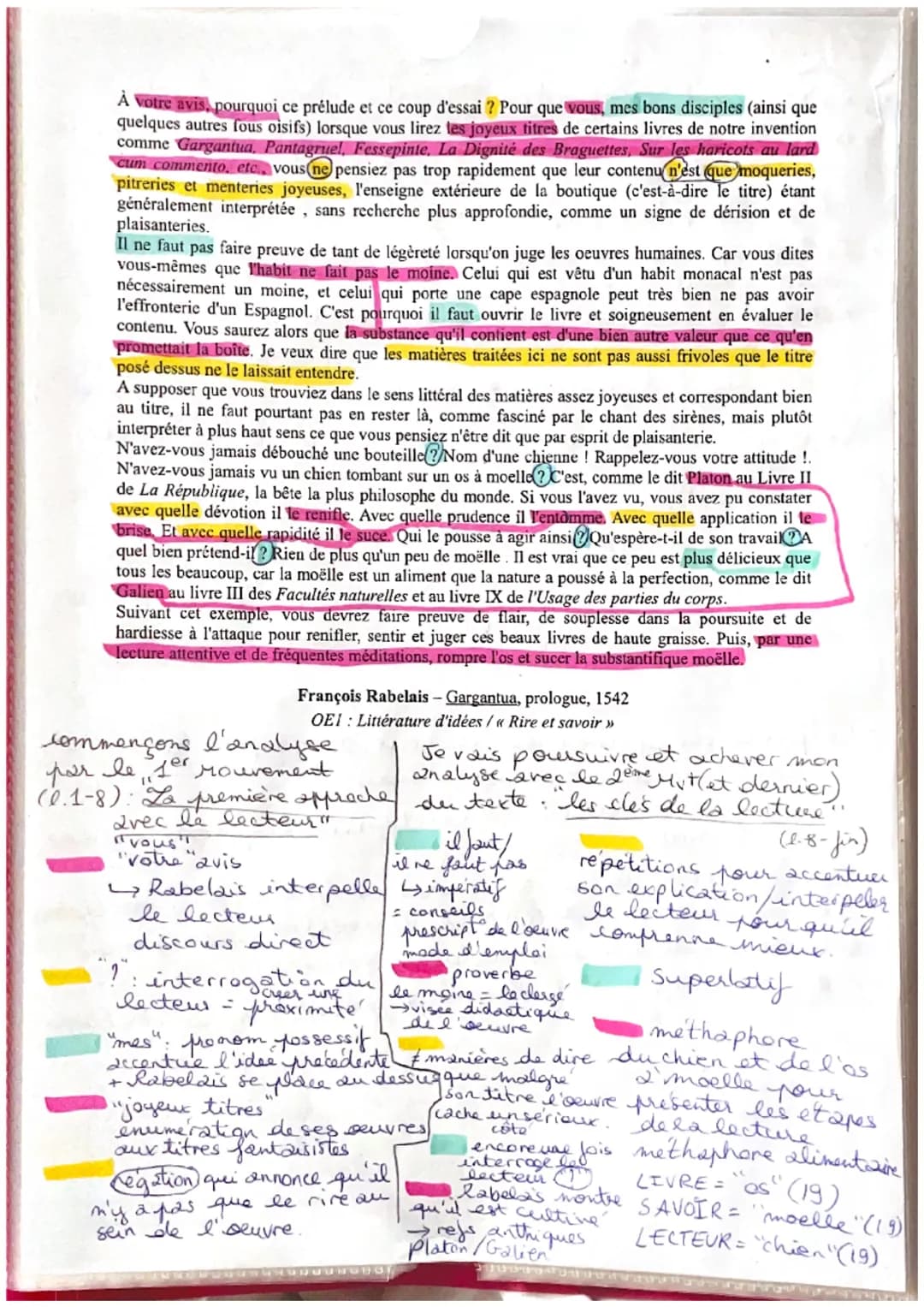 Découvre Gargantua de Rabelais : Lecture Approfondie et Analyse Critique