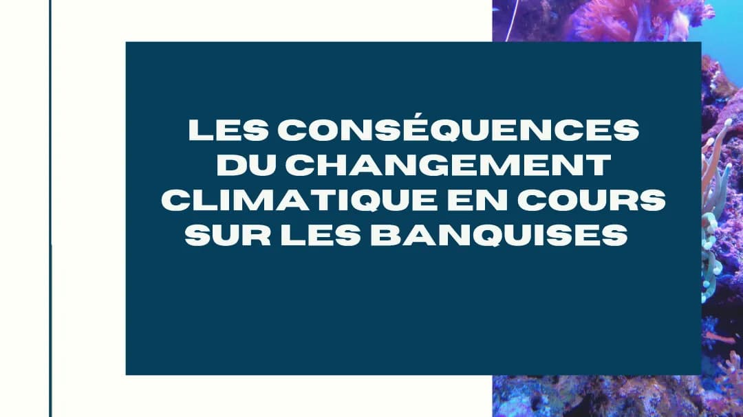 les conséquences du changement  climatique