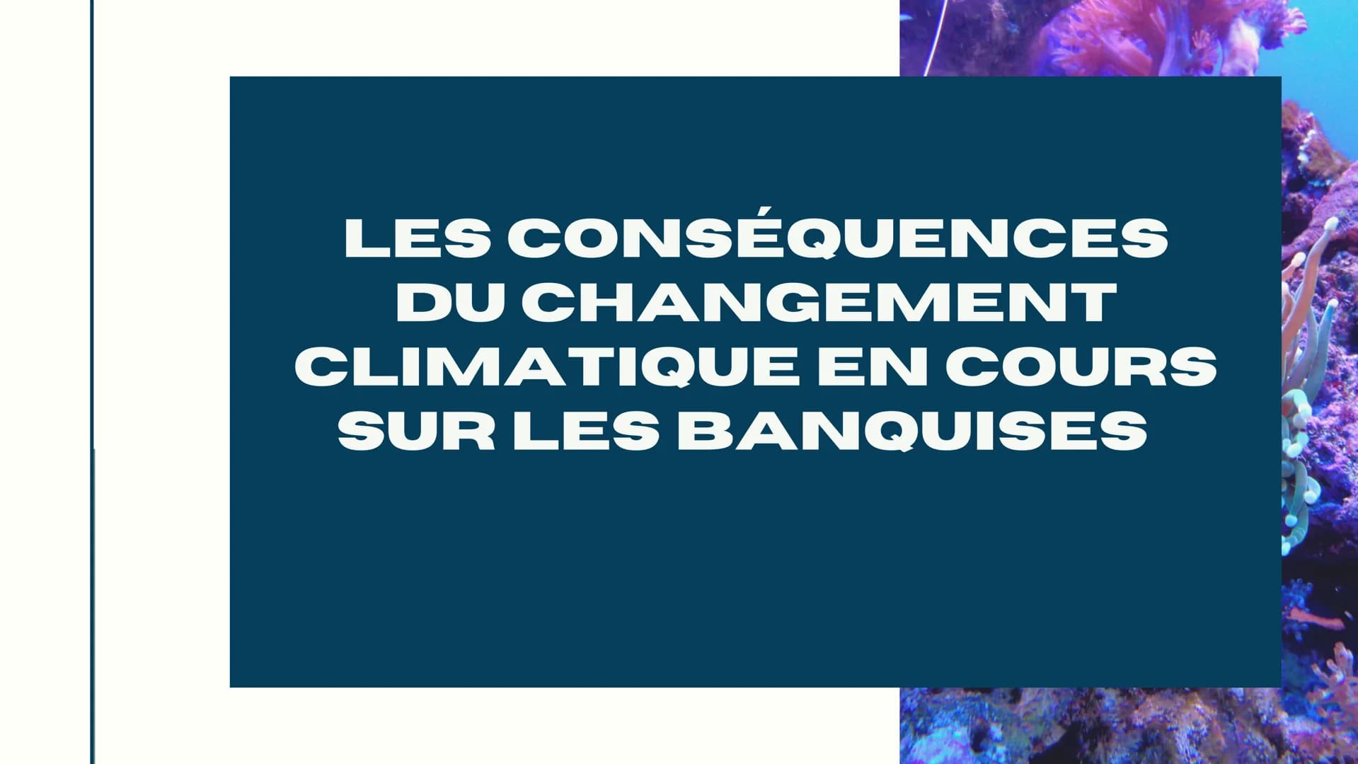 LES CONSÉQUENCES
DU CHANGEMENT
CLIMATIQUE EN COURS
SUR LES BANQUISES SOMMAIRE
1) QU'EST CE QUE LE RECHAUFFEMENT CLIMATIQUE
2) LES CAUSES DU 