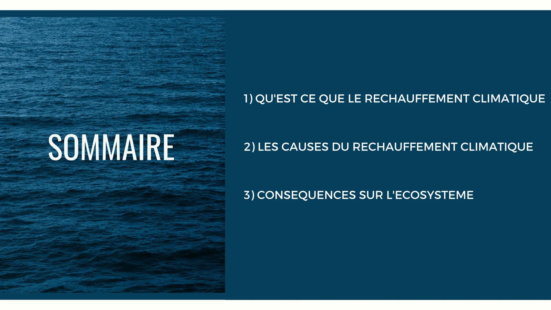 LES CONSÉQUENCES
DU CHANGEMENT
CLIMATIQUE EN COURS
SUR LES BANQUISES SOMMAIRE
1) QU'EST CE QUE LE RECHAUFFEMENT CLIMATIQUE
2) LES CAUSES DU 