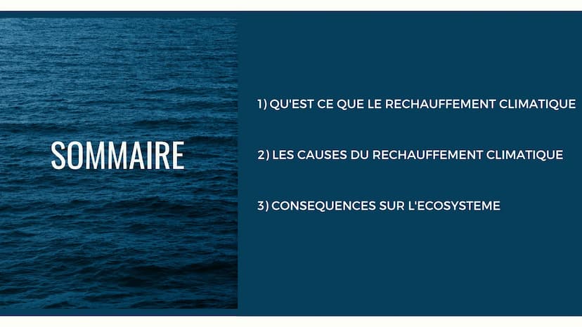 LES CONSÉQUENCES
DU CHANGEMENT
CLIMATIQUE EN COURS
SUR LES BANQUISES SOMMAIRE
1) QU'EST CE QUE LE RECHAUFFEMENT CLIMATIQUE
2) LES CAUSES DU 