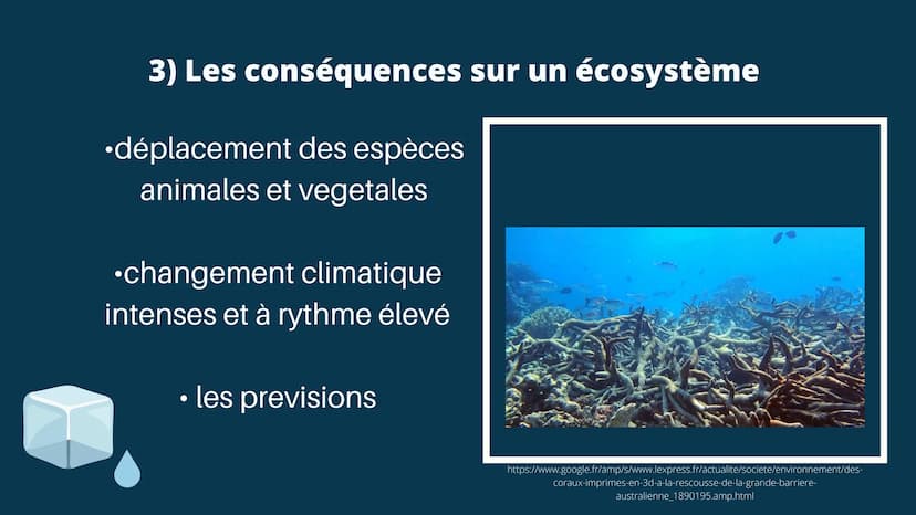 LES CONSÉQUENCES
DU CHANGEMENT
CLIMATIQUE EN COURS
SUR LES BANQUISES SOMMAIRE
1) QU'EST CE QUE LE RECHAUFFEMENT CLIMATIQUE
2) LES CAUSES DU 