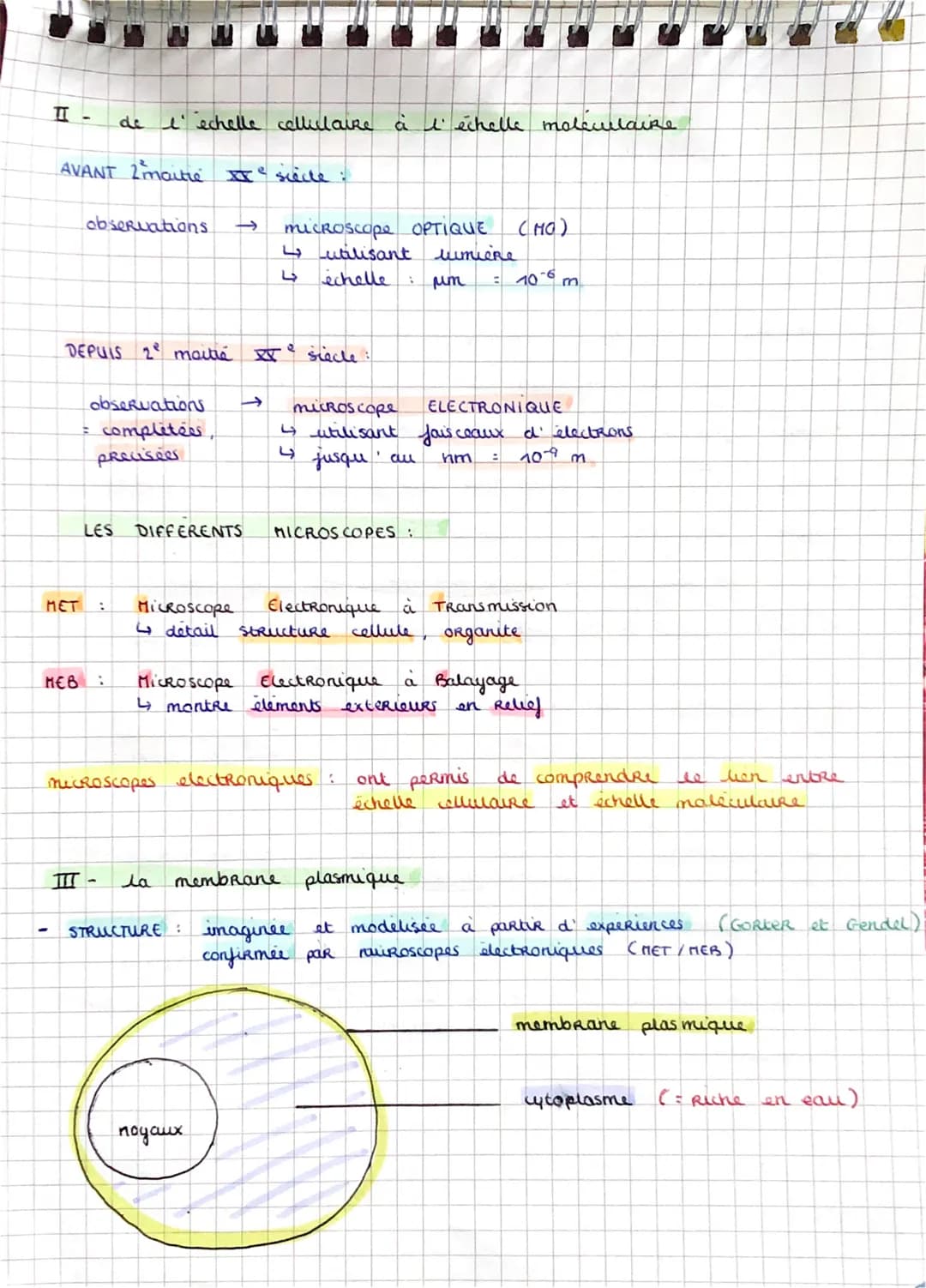 
<p>Les auteurs de la théorie cellulaire, Schleiden et Schwann, ont énoncé les 3 principes de la théorie cellulaire. Selon cette théorie, la