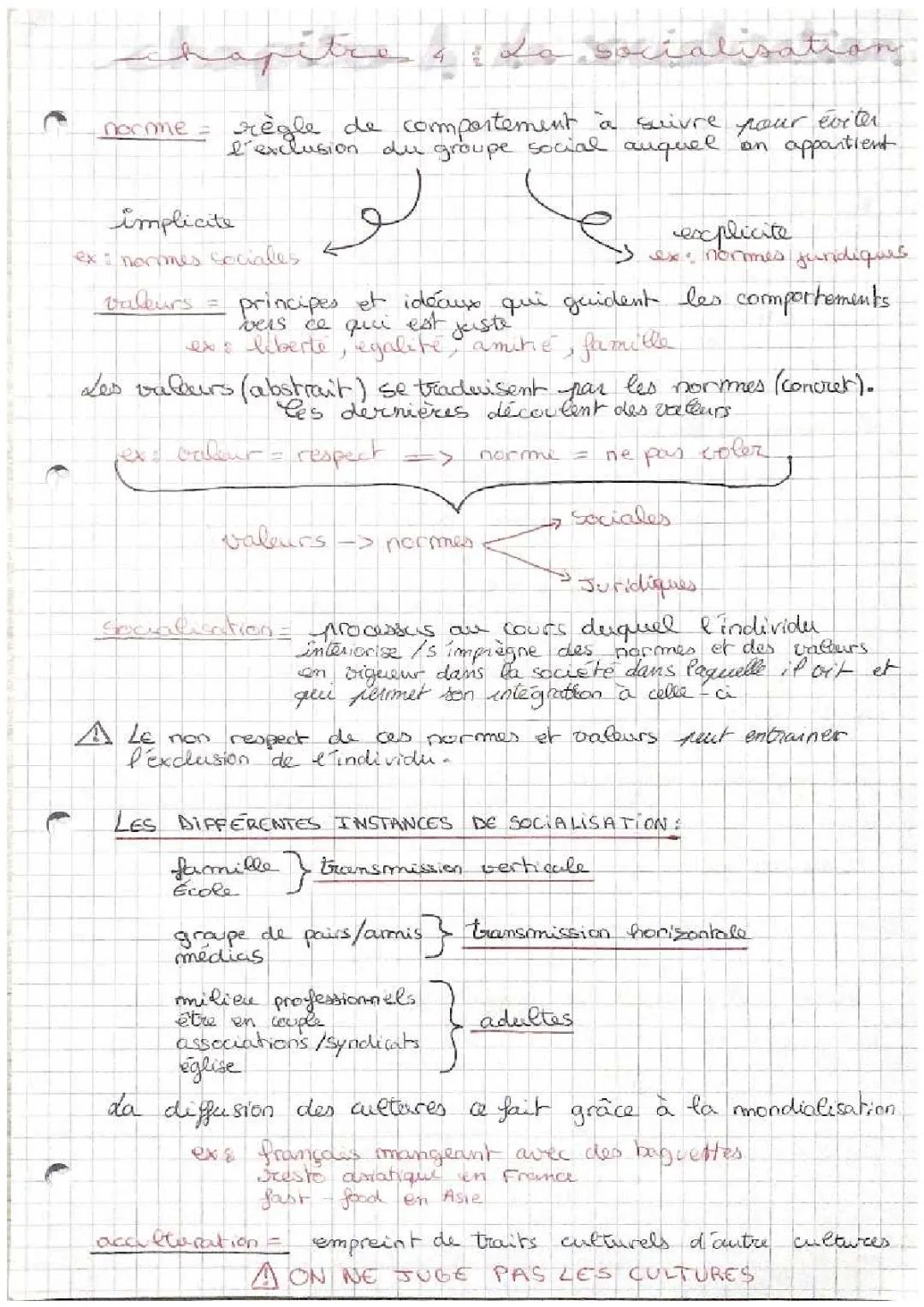 la socialisation + méthode AEI