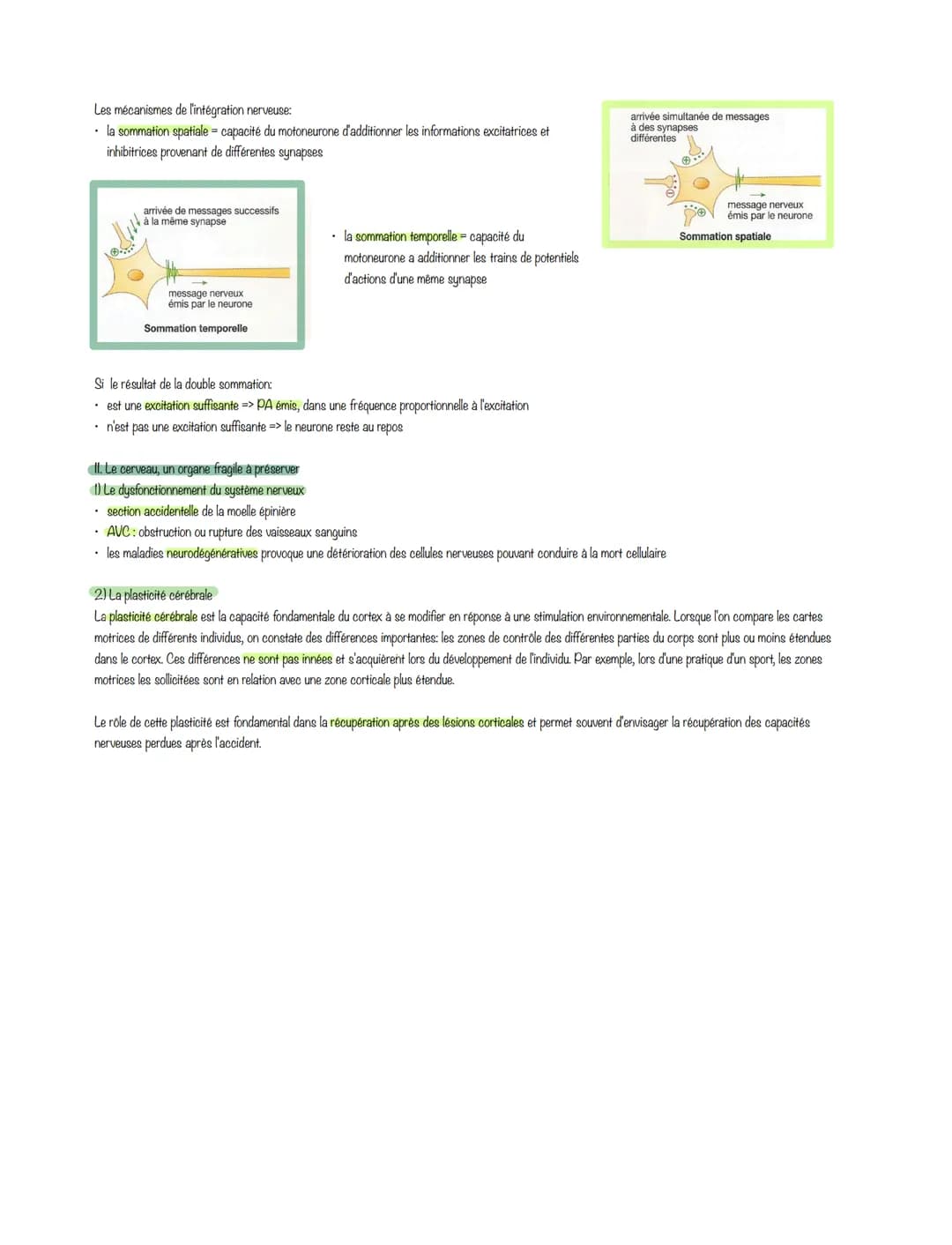 SVT
Chapitre 2: Le cerveau: plasticité, fragilité et rôle dans la motricité
1. Le cerveau, un organe complexe
Le cerveau est l'organe le plu