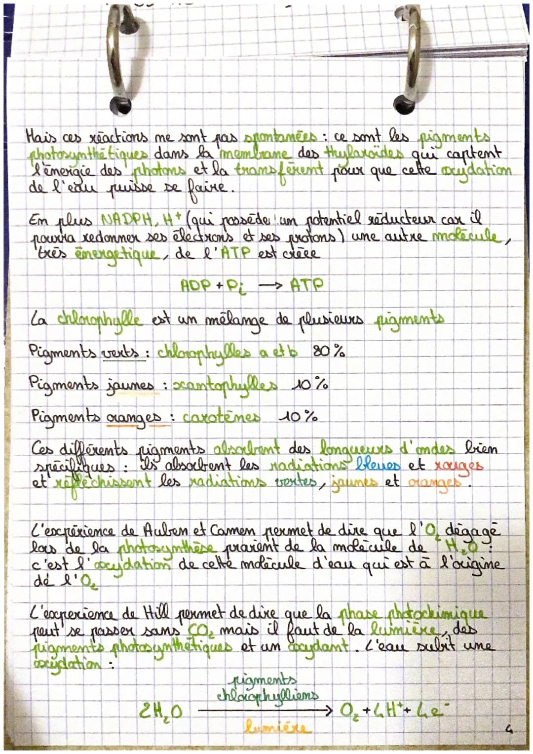 H₂O
Oxydation
Ghotolyse
de l'eau)
0₂2
:
SVT
la plante, productrice de matière organique
Photosynthèse
dans les
chloroplastes
CO₂
Reduction
P