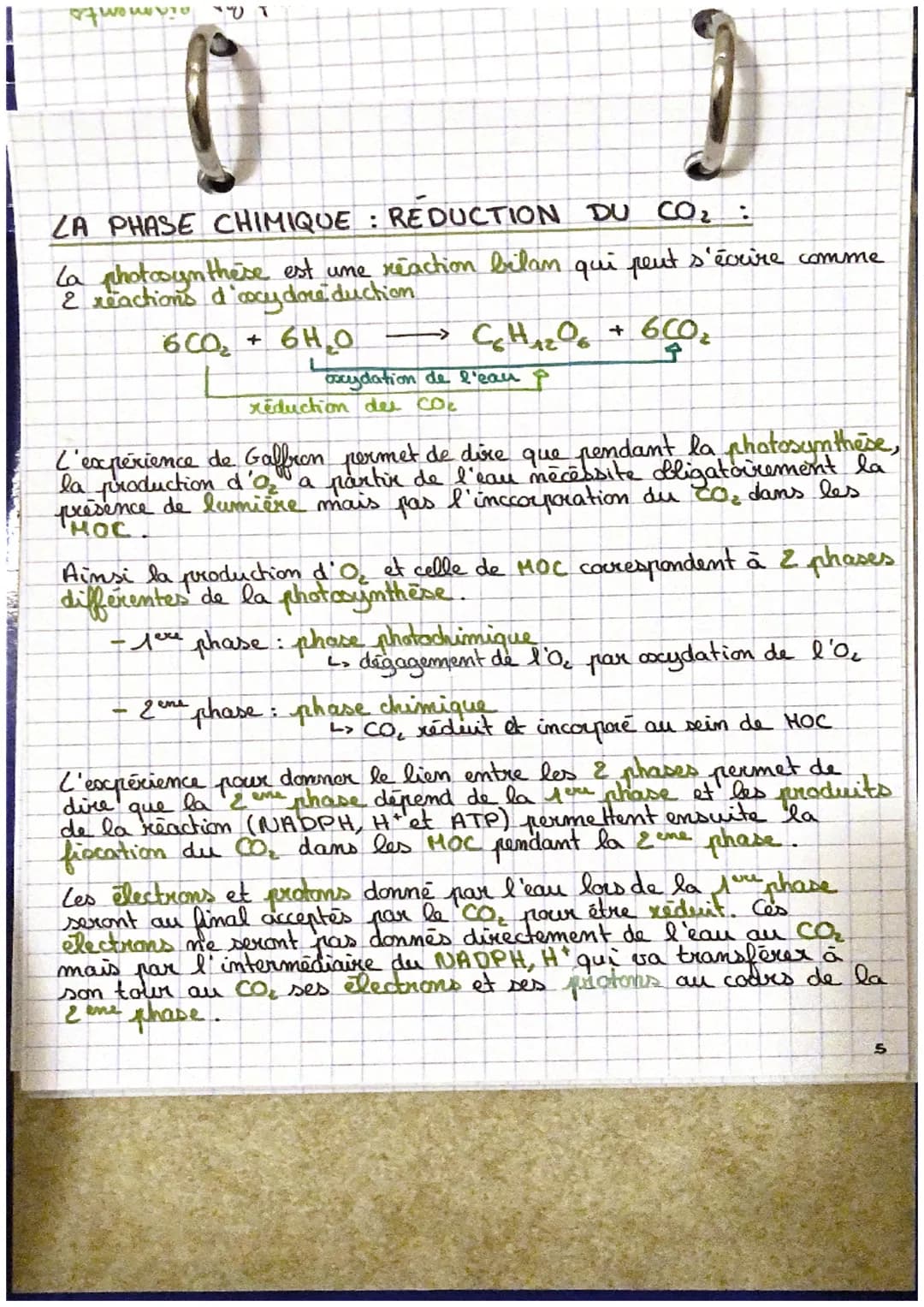 H₂O
Oxydation
Ghotolyse
de l'eau)
0₂2
:
SVT
la plante, productrice de matière organique
Photosynthèse
dans les
chloroplastes
CO₂
Reduction
P