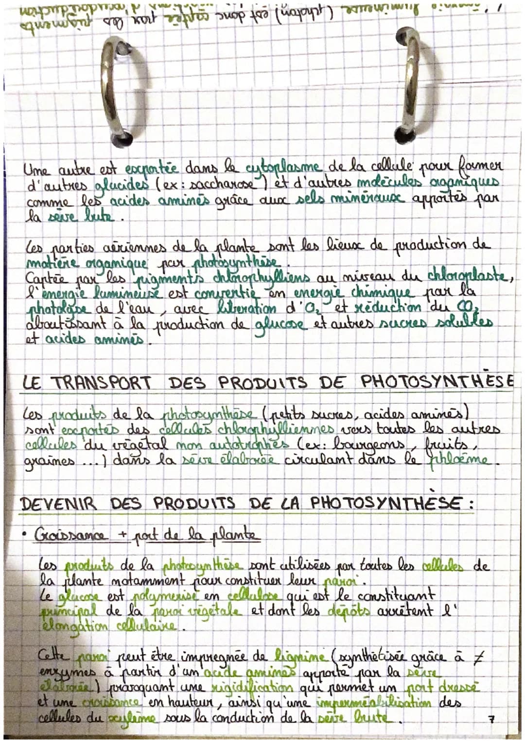 H₂O
Oxydation
Ghotolyse
de l'eau)
0₂2
:
SVT
la plante, productrice de matière organique
Photosynthèse
dans les
chloroplastes
CO₂
Reduction
P