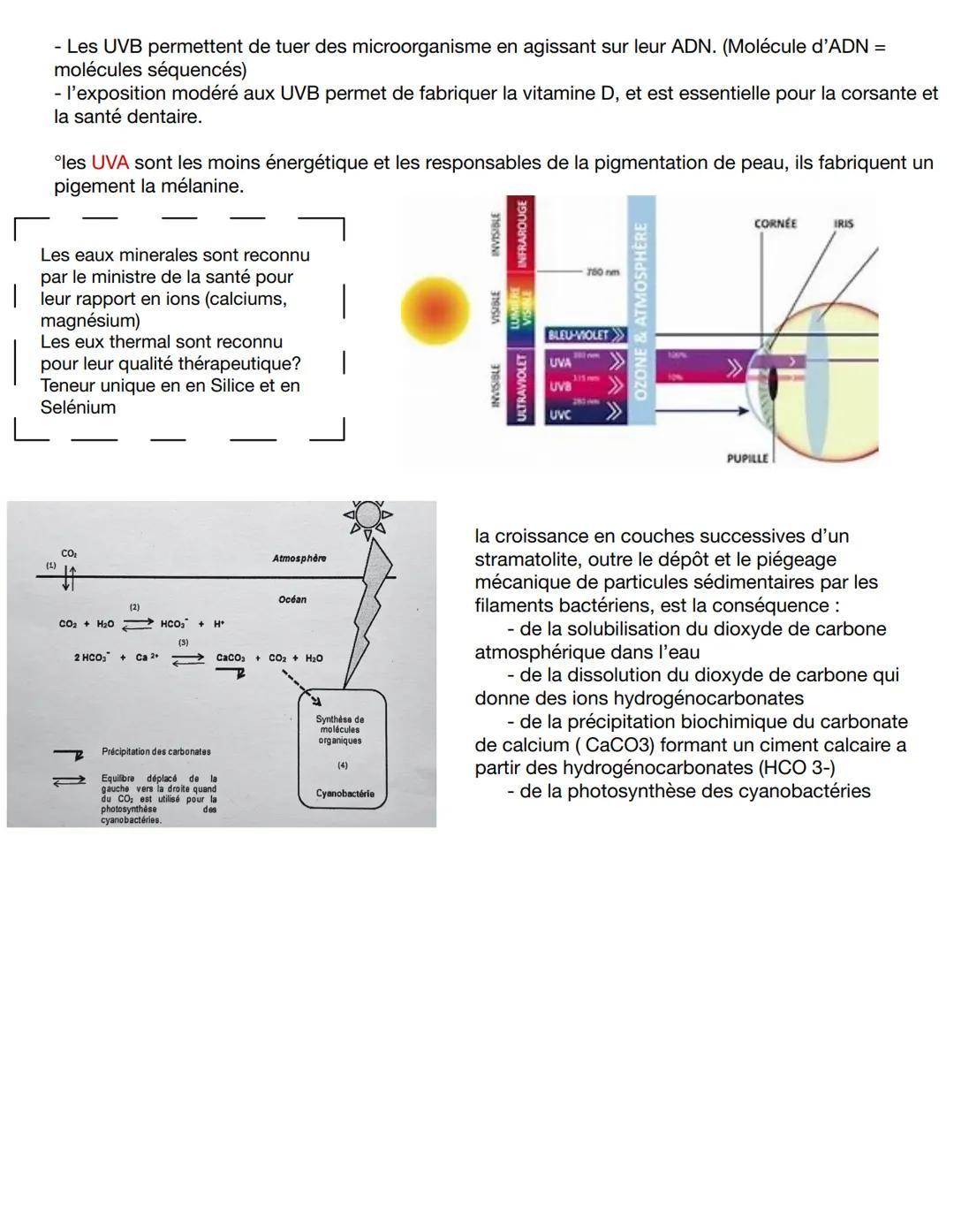 1. Formation de l'atmosphere terrestre
A. L'origine de l'atmosphère terrestre
° Lors de sa formation il y a 4,6 Ga, l'atmosphère de la Terre