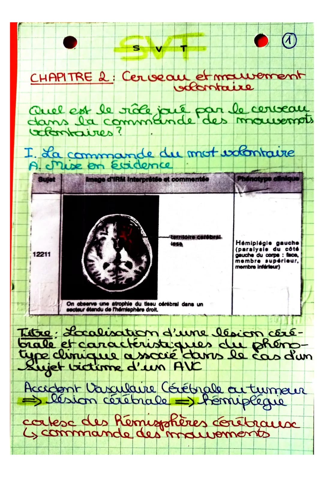 S
CHAPITRE 2: Cerveau et mouvement
volontaire
Quel est le rôle joué par le cerveau
dans la commande des mouvemots
volontaires?
I. La command