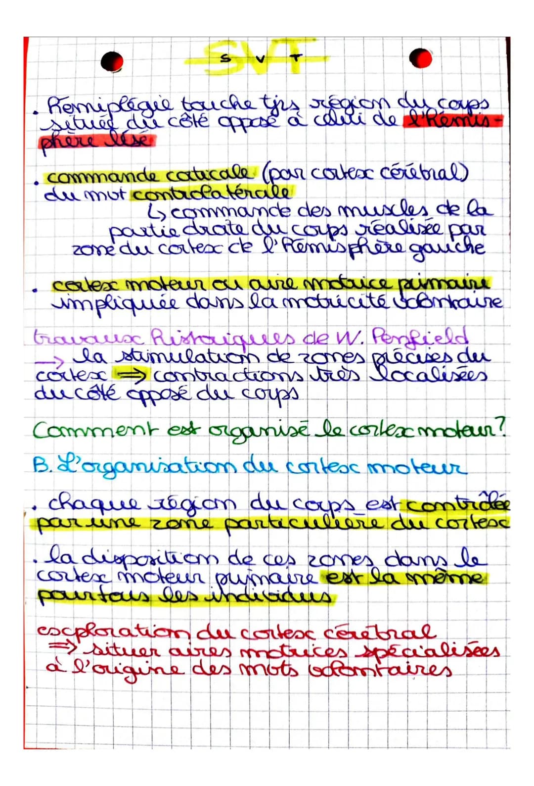 S
CHAPITRE 2: Cerveau et mouvement
volontaire
Quel est le rôle joué par le cerveau
dans la commande des mouvemots
volontaires?
I. La command