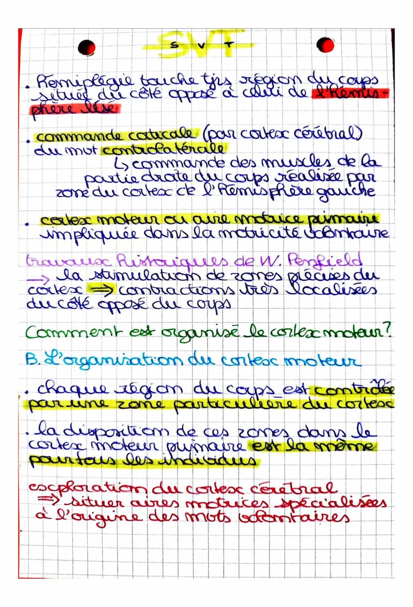 S
CHAPITRE 2: Cerveau et mouvement
volontaire
Quel est le rôle joué par le cerveau
dans la commande des mouvemots
volontaires?
I. La command
