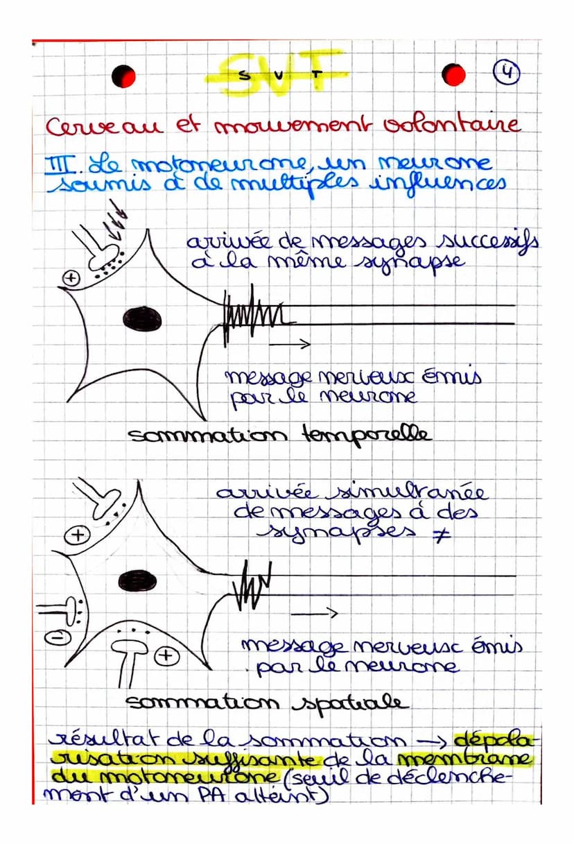 S
CHAPITRE 2: Cerveau et mouvement
volontaire
Quel est le rôle joué par le cerveau
dans la commande des mouvemots
volontaires?
I. La command