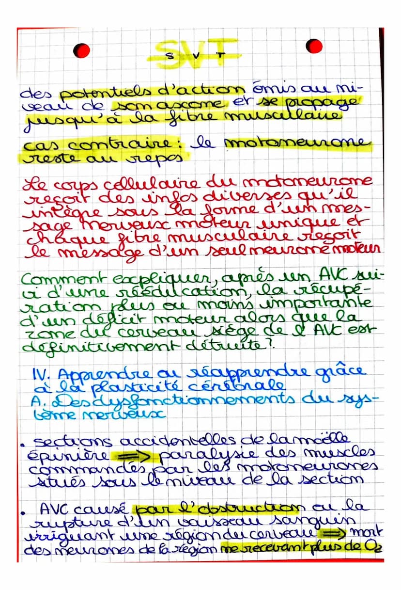 S
CHAPITRE 2: Cerveau et mouvement
volontaire
Quel est le rôle joué par le cerveau
dans la commande des mouvemots
volontaires?
I. La command