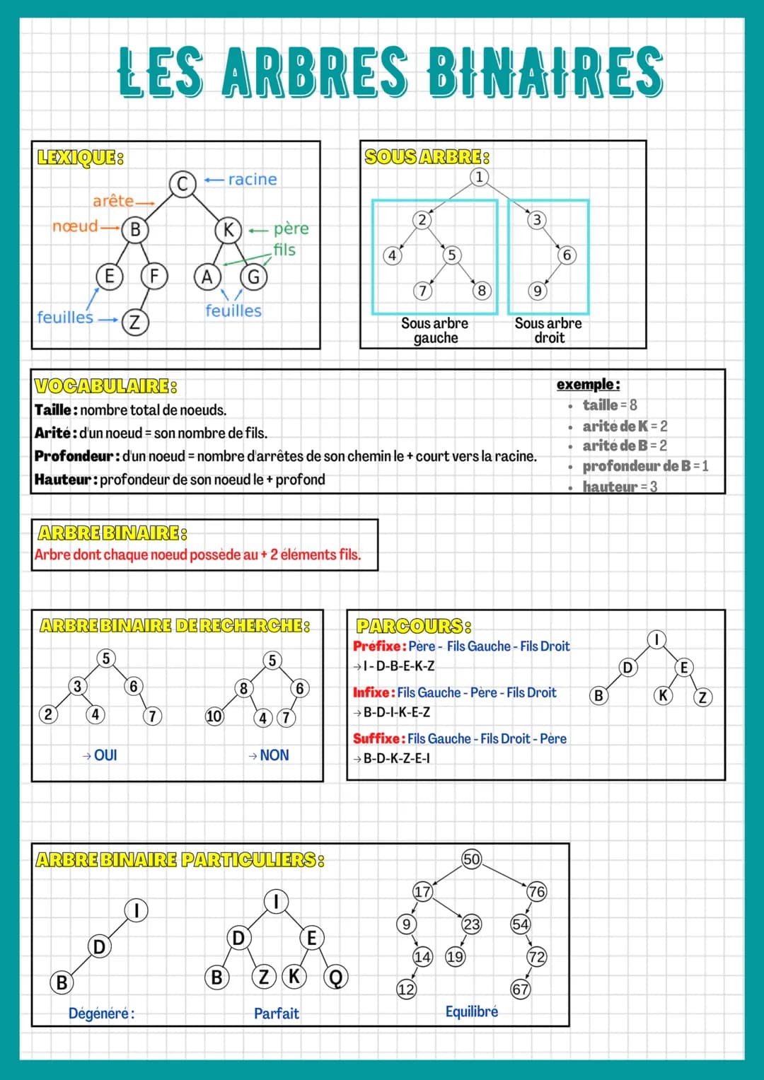 LEXIQUE:
nœud
feuilles
arête
2
E
3
LES ARBRES BINAIRES
5
(4)
B
→ OUI
ARBRE BINAIRE:
Arbre dont chaque noeud possède au + 2 éléments fils.
D
